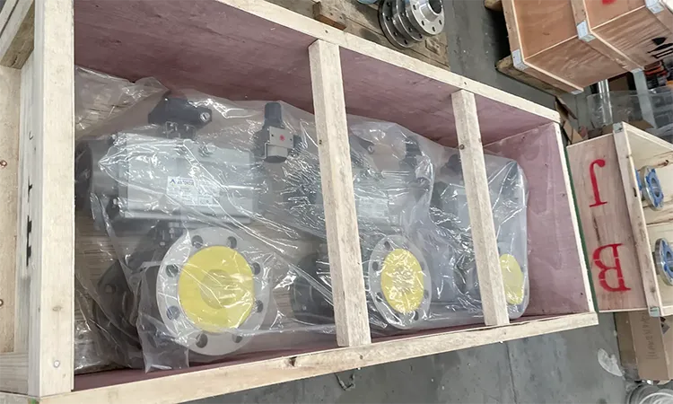 VP Pigging System Packaging