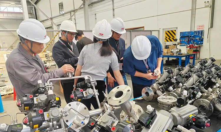 Customer Visit VP Factory