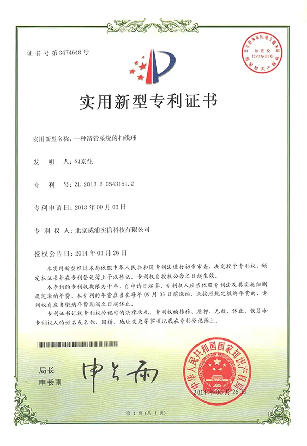 Pig for Pipeline Pigging Patent