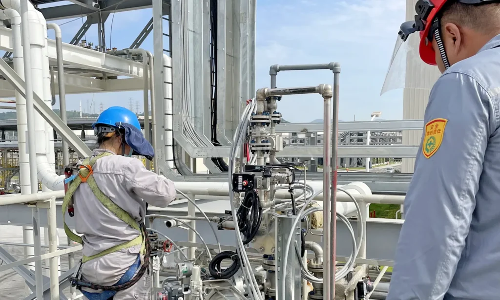 Customer-Site VP Pigging System