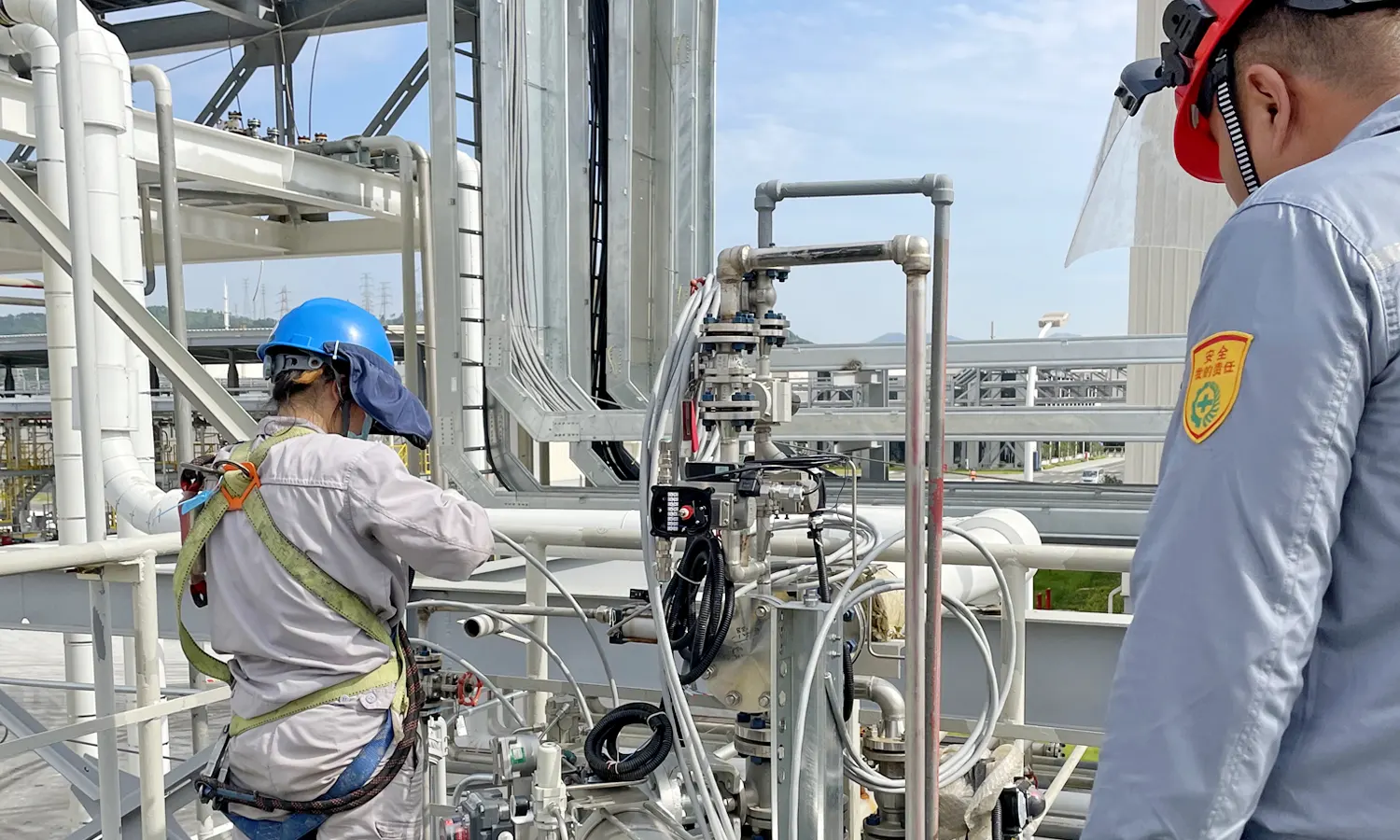 Customer-Site VP Pigging System