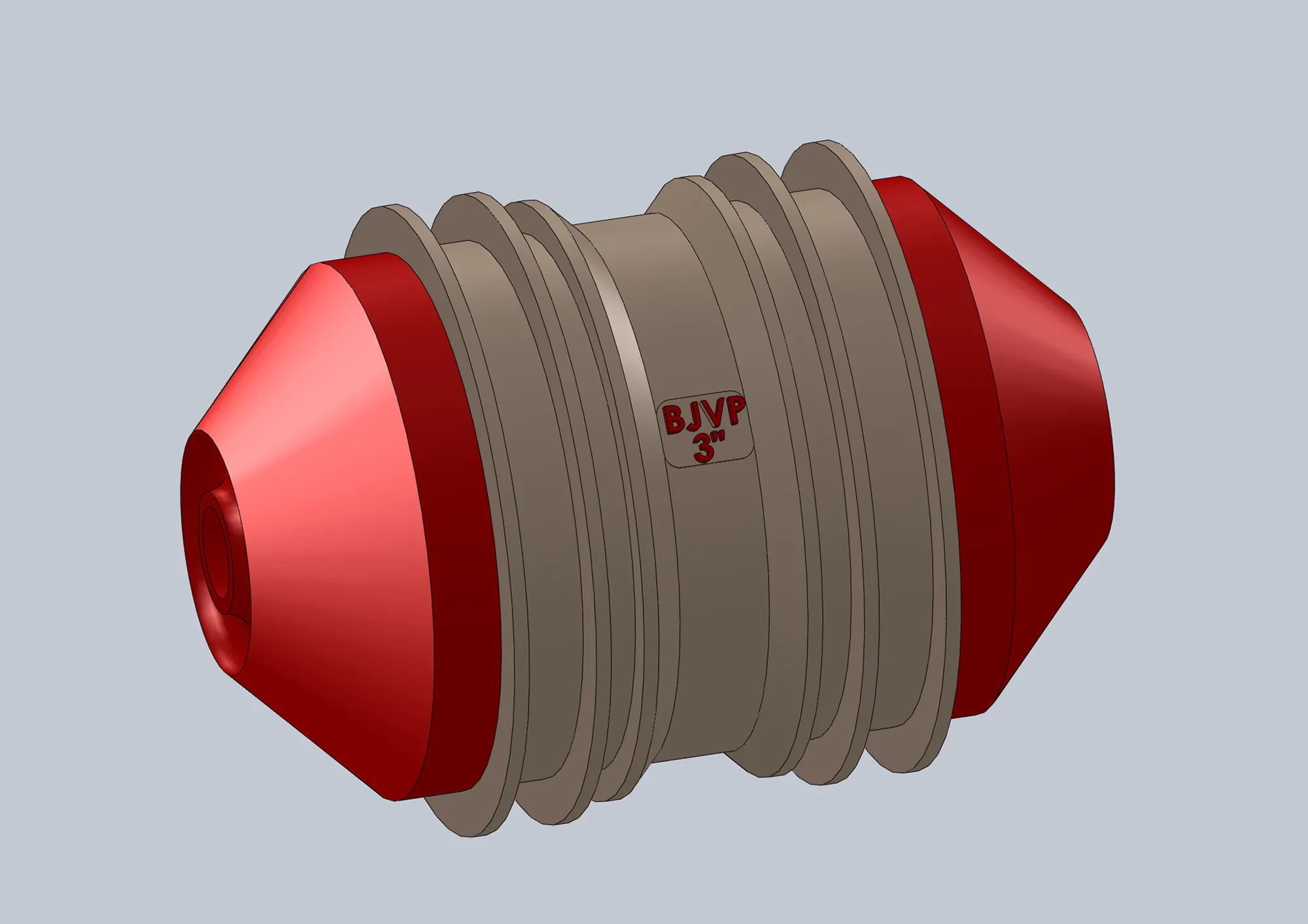 BJVP Pig Model